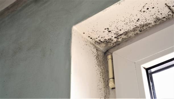 Best Post-Remediation Verification Testing  in Canton, SD