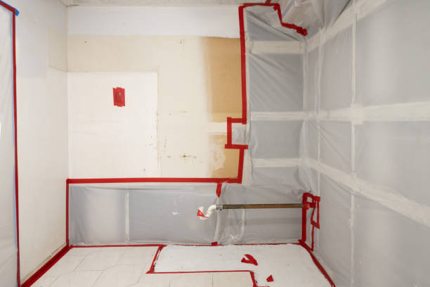 Best Mold Damage Restoration  in Canton, SD